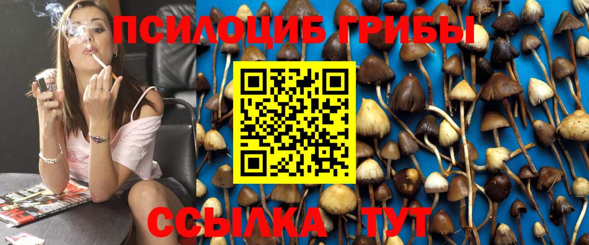 Бошки Шишки Сегежа