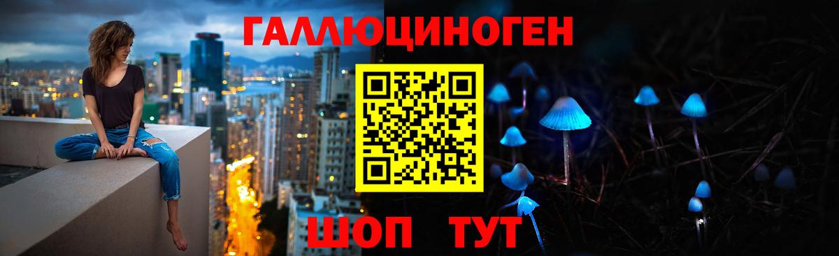 Псилоцибиновые грибы Psilocybe Сегежа